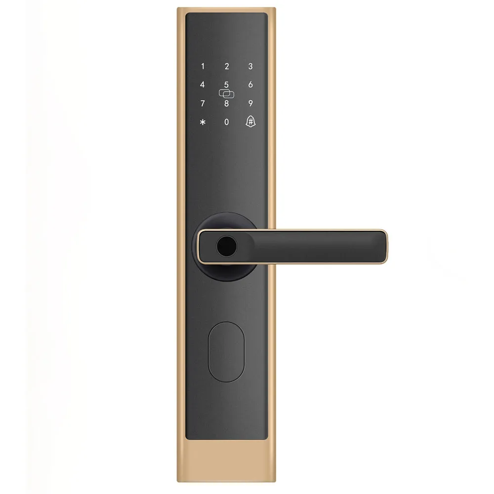 [C200] Smart Door Lock C200 (Golden/24 No hook/Wooden door)