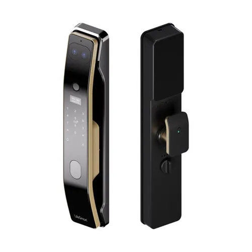 Face Lock Door